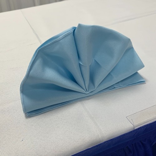 Polyester Napkins (Pack of 10) - Baby Blue